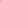 Tiber Taber Bird Embroidered Suit Set Pink  