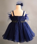 Blue Swan Dress