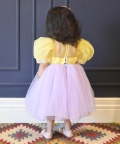 Yellow and Lilac Net Frock