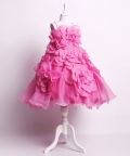 Anna Hot Pink Floral Tulle Gown For Girls