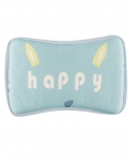 Happy Blue Washable Mat With Pillow