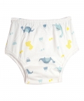 Cloth Diaper Panty 2 Pk Dinosaurs & Fish