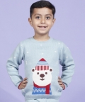 Hearth Warming Bear Jacquard 100% Cotton Sweater Set Of 2