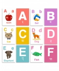 Alphabets Flash Card