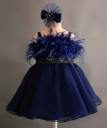Blue Swan Dress
