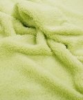 Dino Green And White Blanket
