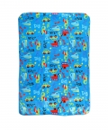 Cars And Planes Blue Blanket