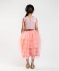 Peach Sequinned Dress 