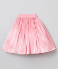 Heavily Embroidered And Shinny Glass Tissue Skirt And Top