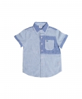 Boys Teal Dolphin Patched Shirt