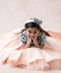 Casal Grey Pink Printed Princess Silk Gown