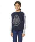 Harry Potter Reflective Hogwarts Logo Sweatshirt