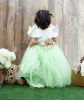 Off White And Green Net Gown With Animals Motifs