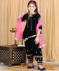 Velvet Suit With Zari Embroidery On Top And Bottom 
