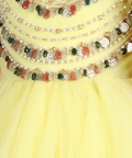 Anarkali With Hand Embroidery And Net Flare