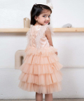 Peach Sequin Bodice With Feather Detailing And Tulle Frill Skirt