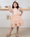 Peach Sequin Bodice With Feather Detailing And Tulle Frill Skirt