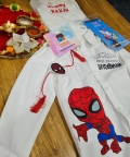 Spiderman Shirt Hamper