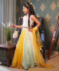 Multicolour Lehenga With Different Top Pattern