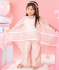 Flarry Organza Cape With Crop Top And Embroidered Pants