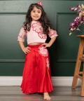 Flower Embroidered Pink Top With Red Embroidered Pants
