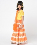 Marigold Magic Girls Yellow Embroidered Lehanga Choli Set