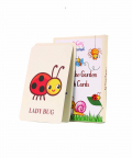 Kicks And Crawl- Bugs In The Garden Flashcards