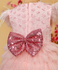 Princess Aisha Pink Dress