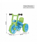 Ok Play Pacer Tricycle for Kids - Blue/Green
