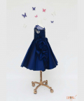 Dark Blue Silk Gown