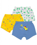 SuperBottoms Young Boy Trunks (Pack of 3) -Finding Dino