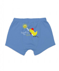 SuperBottoms Young Boy Trunks (Pack of 3) -Finding Dino