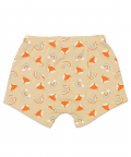 SuperBottoms Young Boy Trunks (Pack of 3) -Woody Goody