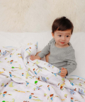 Adventures Of A Prince Organic Reversible Blanket
