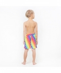 Multicolored Pinstripes Fun In The Sun Shorts