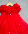 Red Organza Dress With Flowers