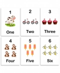 Numbers Flash Card