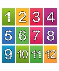 Numbers Flash Card