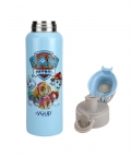 Paw Patrol Kids Insulated Water Bottle Tiktok - 600 Ml