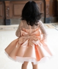 Peach Dress With Shimmering Sequin And Bead Embroidery