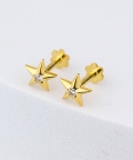 Cute Star Earrings