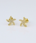 Glitterly star Earrings