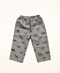 Grey Dino Shrit With Full Pants