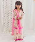 Pastel Pink Sequin Hand Embroidered Sharara Set