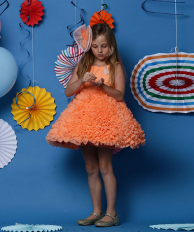 Orange Frilly Dress with Butterflies
