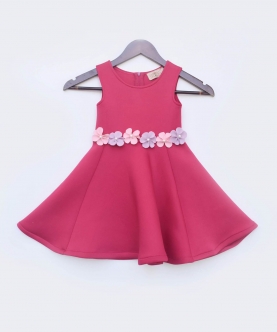 Pink Lycra Dress