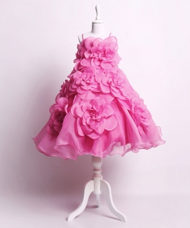 Anna Hot Pink Floral Tulle Gown For Girls