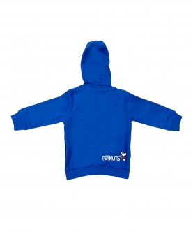 Boys Blue Sweater Hoodie Jacket