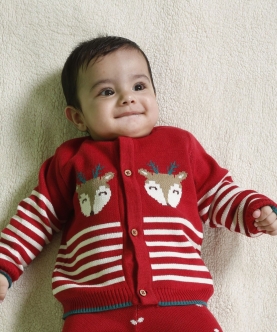 Joyful Reindeer Jacquard 100% Cotton Sweater