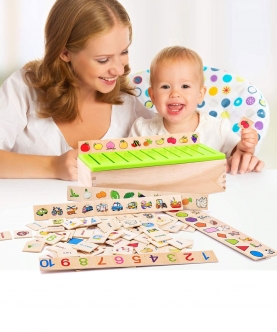 Classification Box Cognitive Card Set Educational Toy